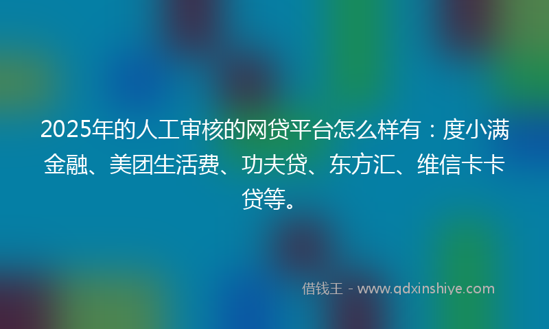 2025年的人工审核的网贷平台怎么样有：度小满金融、美团生活费、功夫贷、东方汇、维信卡卡贷等。