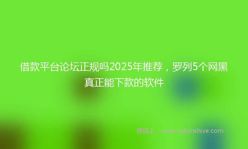 借款平台论坛正规吗2025年推荐，罗列5个网黑真正能下款的软件