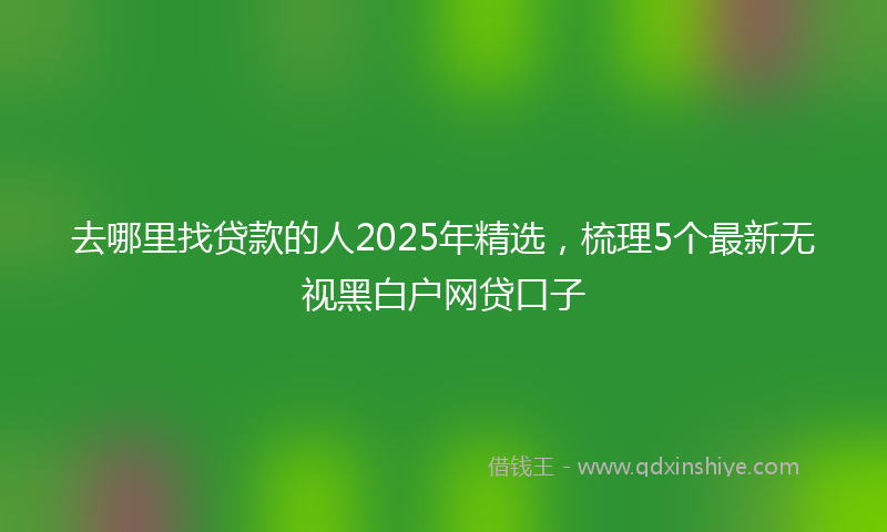 去哪里找贷款的人2025年精选，梳理5个最新无视黑白户网贷口子