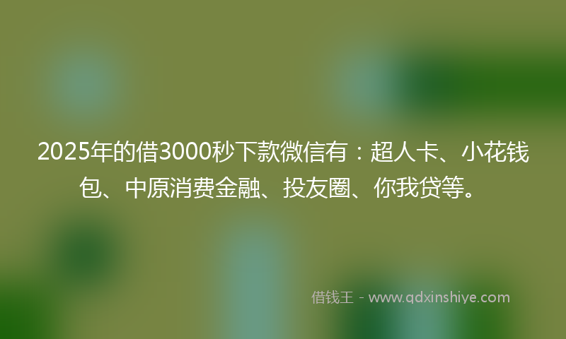 2025年的借3000秒下款微信有：超人卡、小花钱包、中原消费金融、投友圈、你我贷等。