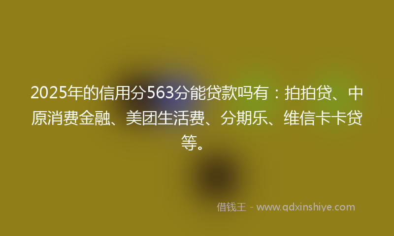 2025年的信用分563分能贷款吗有：拍拍贷、中原消费金融、美团生活费、分期乐、维信卡卡贷等。