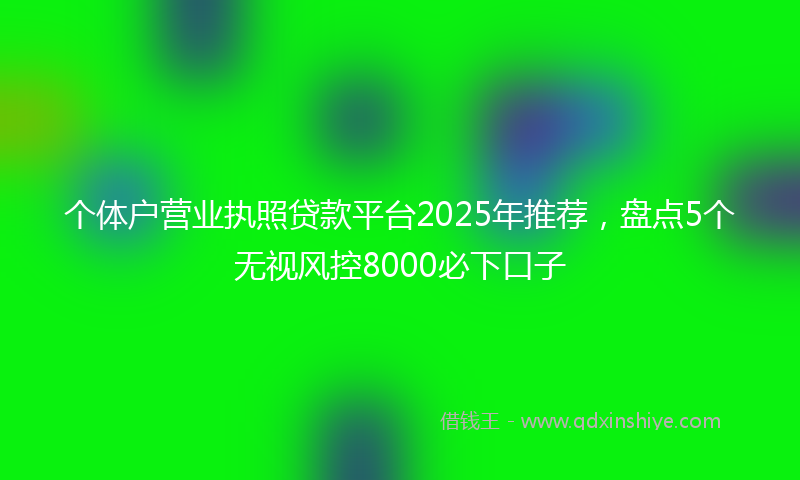 个体户营业执照贷款平台2025年推荐，盘点5个无视风控8000必下口子