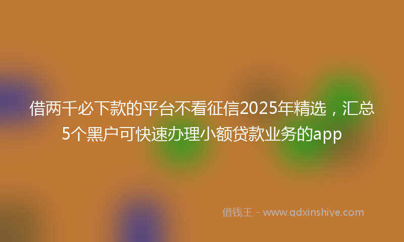 借两千必下款的平台不看征信2025年精选，汇总5个黑户可快速办理小额贷款业务的app
