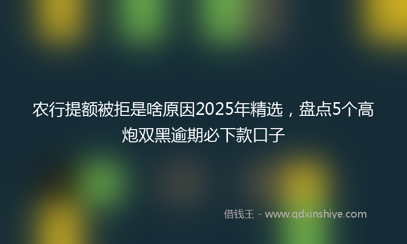 农行提额被拒是啥原因2025年精选，盘点5个高炮双黑逾期必下款口子