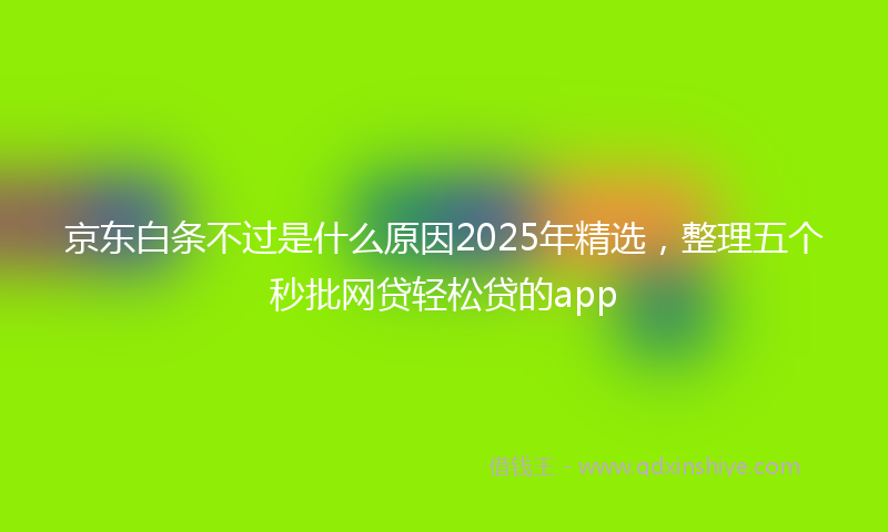 京东白条不过是什么原因2025年精选，整理五个秒批网贷轻松贷的app