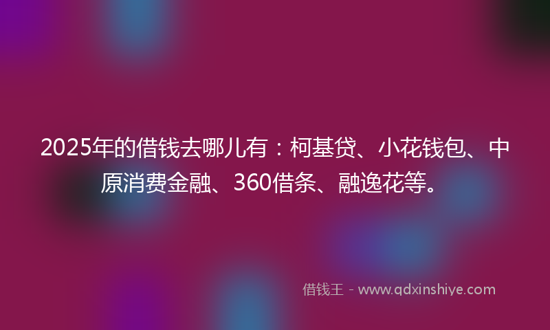 2025年的借钱去哪儿有：柯基贷、小花钱包、中原消费金融、360借条、融逸花等。