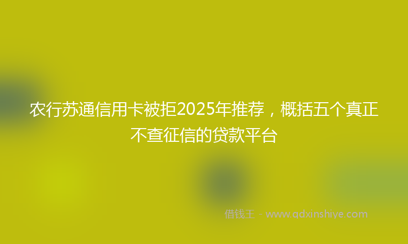 农行苏通信用卡被拒2025年推荐，概括五个真正不查征信的贷款平台