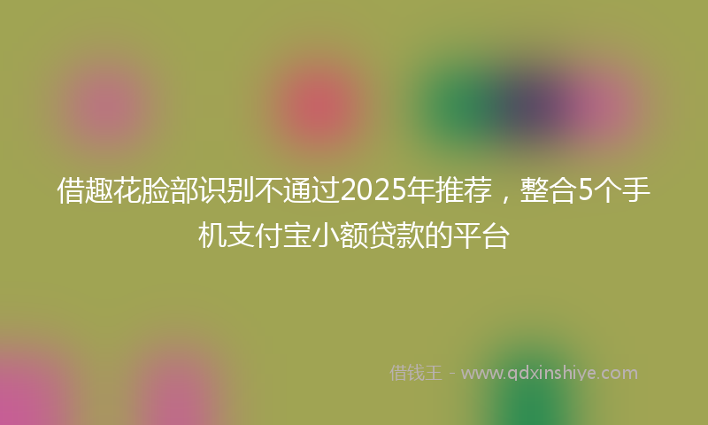 借趣花脸部识别不通过2025年推荐，整合5个手机支付宝小额贷款的平台