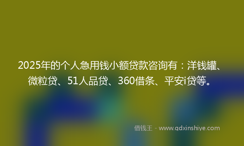2025年的个人急用钱小额贷款咨询有：洋钱罐、微粒贷、51人品贷、360借条、平安i贷等。