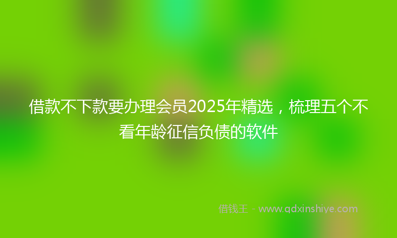 借款不下款要办理会员2025年精选，梳理五个不看年龄征信负债的软件