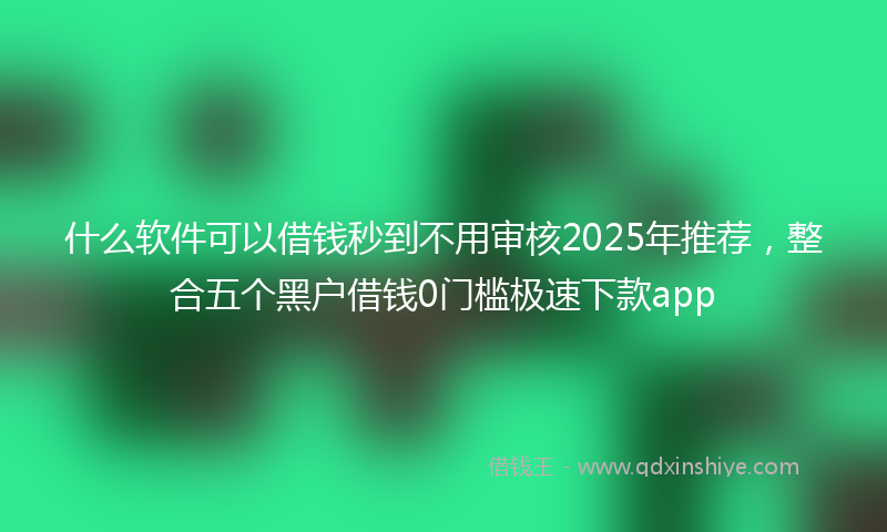 什么软件可以借钱秒到不用审核2025年推荐，整合五个黑户借钱0门槛极速下款app