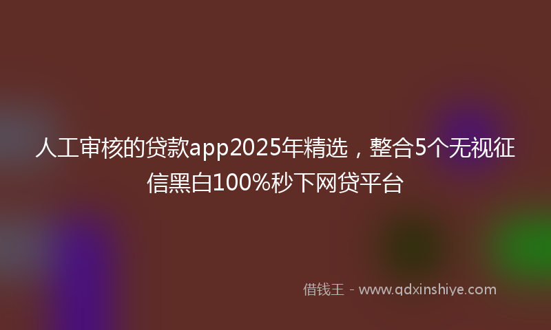 人工审核的贷款app2025年精选，整合5个无视征信黑白100%秒下网贷平台