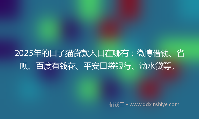2025年的口子猫贷款入口在哪有：微博借钱、省呗、百度有钱花、平安口袋银行、滴水贷等。