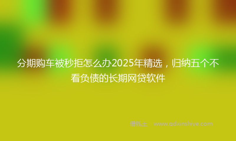 分期购车被秒拒怎么办2025年精选，归纳五个不看负债的长期网贷软件
