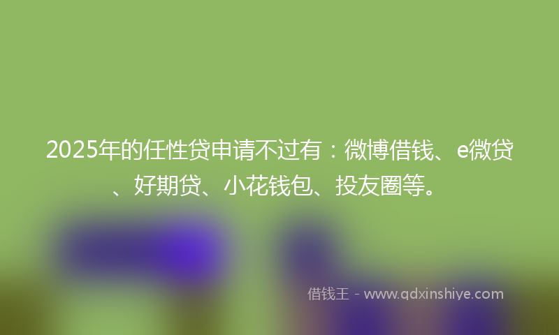 2025年的任性贷申请不过有：微博借钱、e微贷、好期贷、小花钱包、投友圈等。