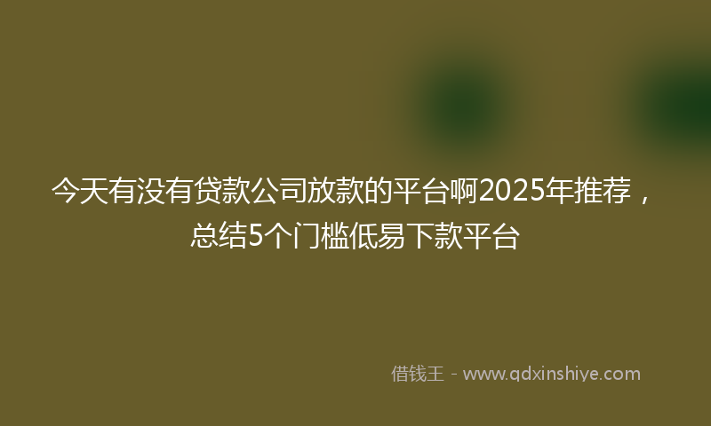 今天有没有贷款公司放款的平台啊2025年推荐，总结5个门槛低易下款平台