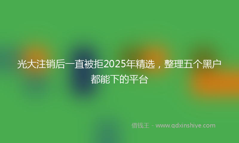 光大注销后一直被拒2025年精选，整理五个黑户都能下的平台