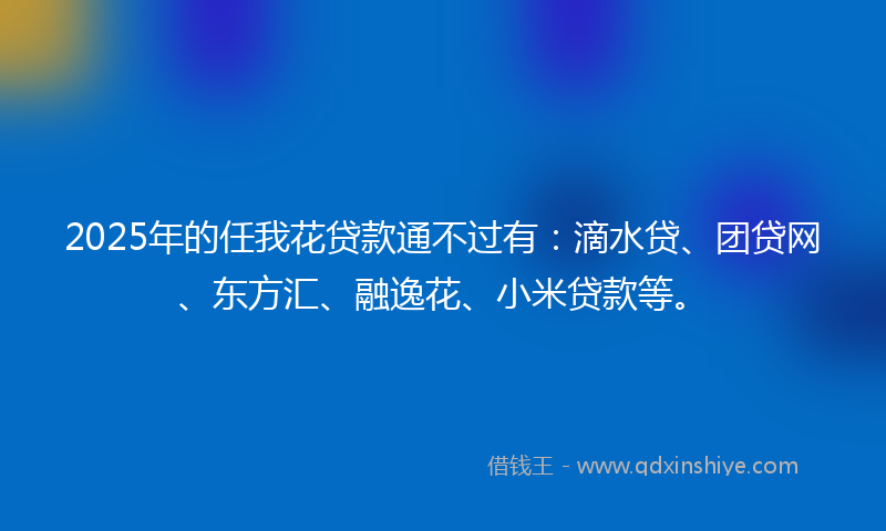 2025年的任我花贷款通不过有：滴水贷、团贷网、东方汇、融逸花、小米贷款等。