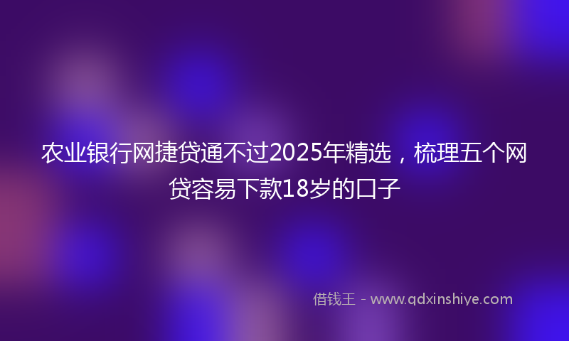 农业银行网捷贷通不过2025年精选，梳理五个网贷容易下款18岁的口子