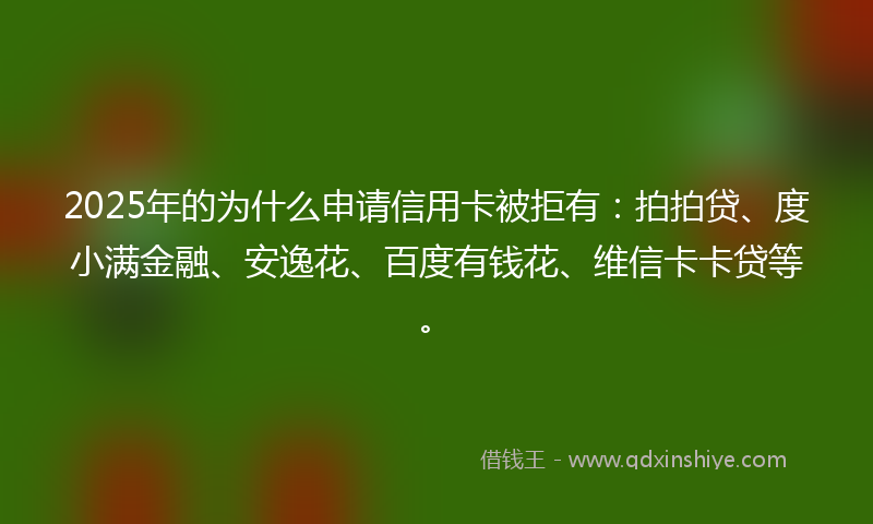 2025年的为什么申请信用卡被拒有:拍拍贷、度小满金融、安逸花、百度有钱花、维信卡卡贷等。