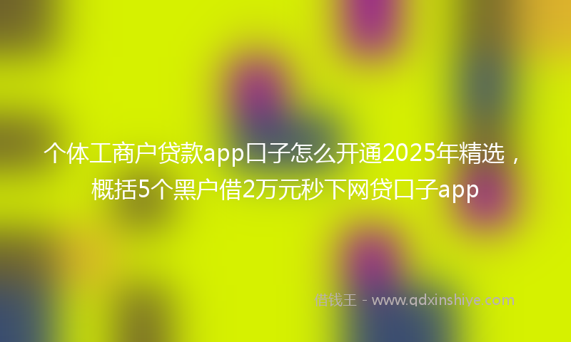 个体工商户贷款app口子怎么开通2025年精选，概括5个黑户借2万元秒下网贷口子app
