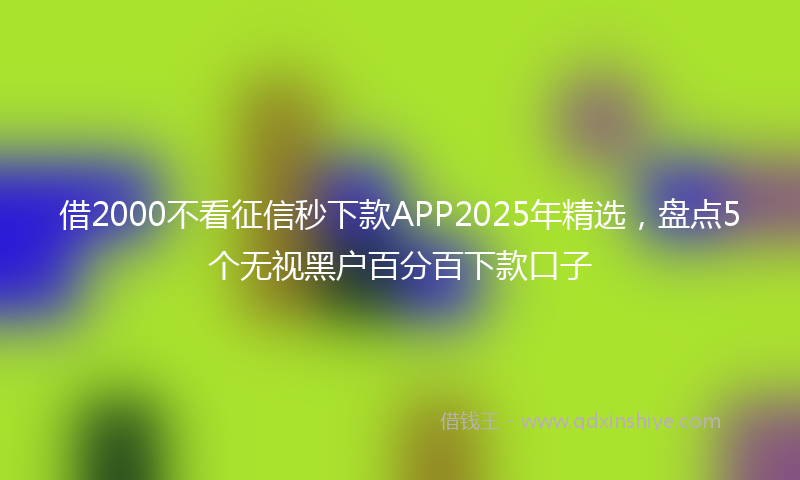 借2000不看征信秒下款APP2025年精选，盘点5个无视黑户百分百下款口子