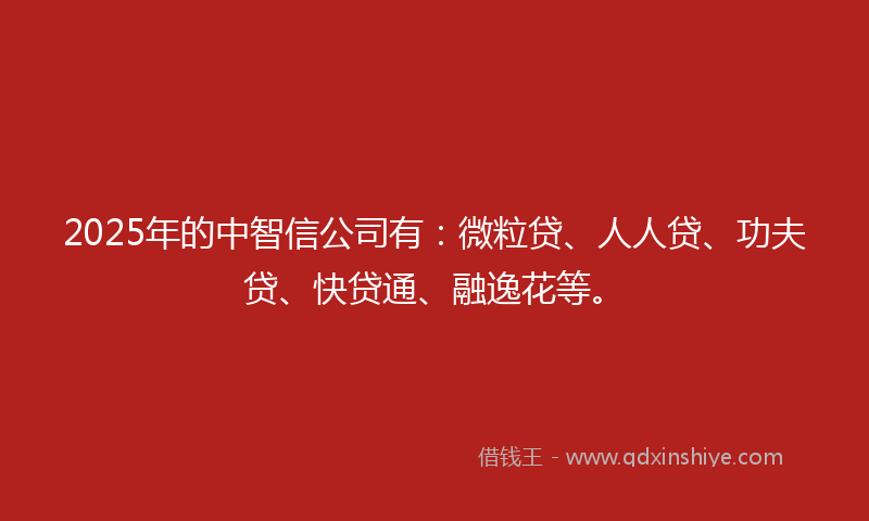 2025年的中智信公司有：微粒贷、人人贷、功夫贷、快贷通、融逸花等。