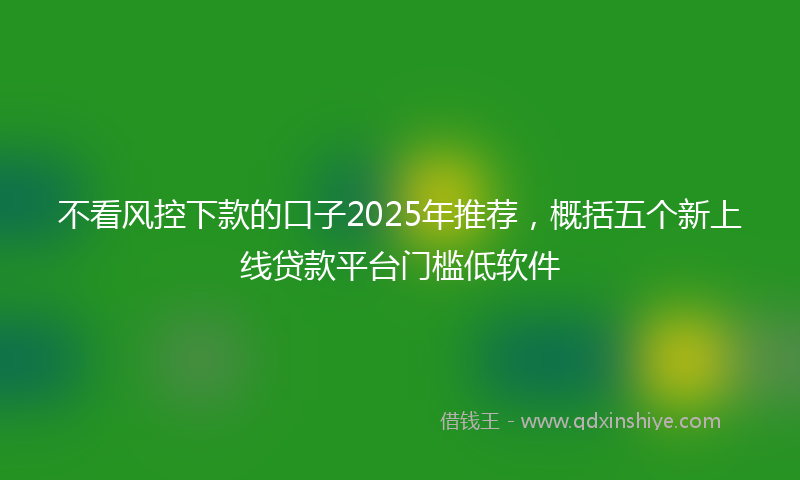 不看风控下款的口子2025年推荐，概括五个新上线贷款平台门槛低软件