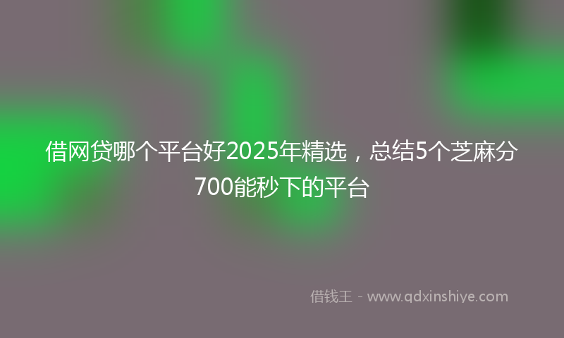 借网贷哪个平台好2025年精选，总结5个芝麻分700能秒下的平台