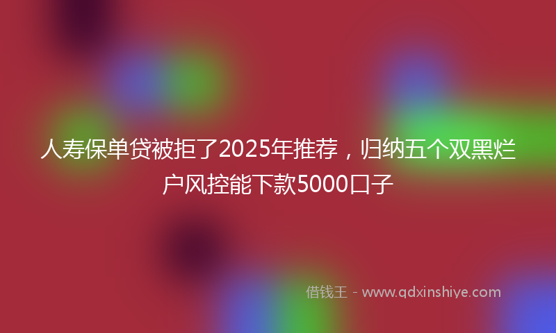 人寿保单贷被拒了2025年推荐,归纳五个双黑烂户风控能下款5000口子