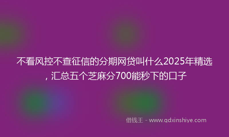 不看风控不查征信的分期网贷叫什么2025年精选，汇总五个芝麻分700能秒下的口子