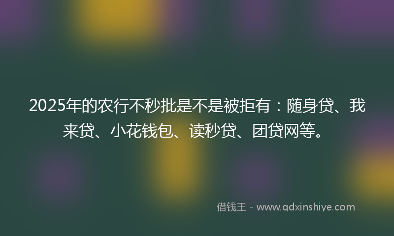 2025年的农行不秒批是不是被拒有：随身贷、我来贷、小花钱包、读秒贷、团贷网等。