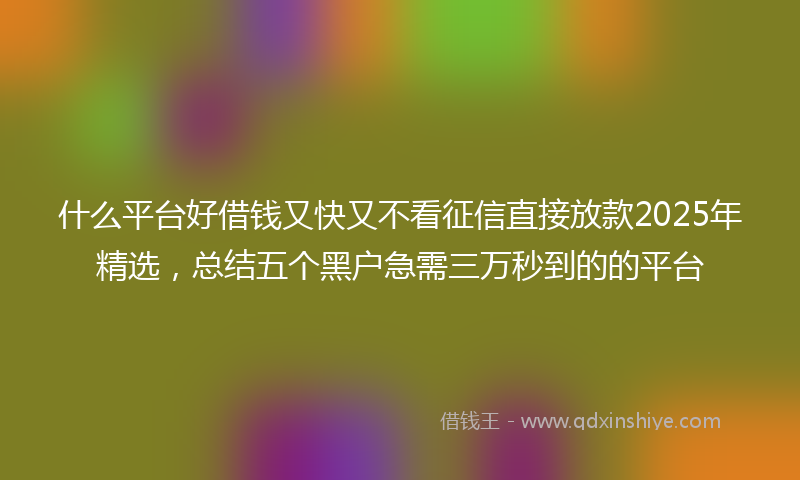 什么平台好借钱又快又不看征信直接放款2025年精选，总结五个黑户急需三万秒到的的平台