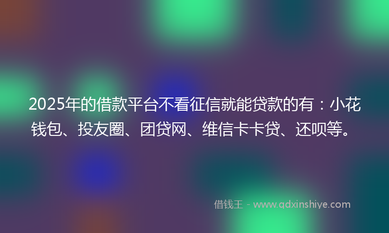 2025年的借款平台不看征信就能贷款的有：小花钱包、投友圈、团贷网、维信卡卡贷、还呗等。