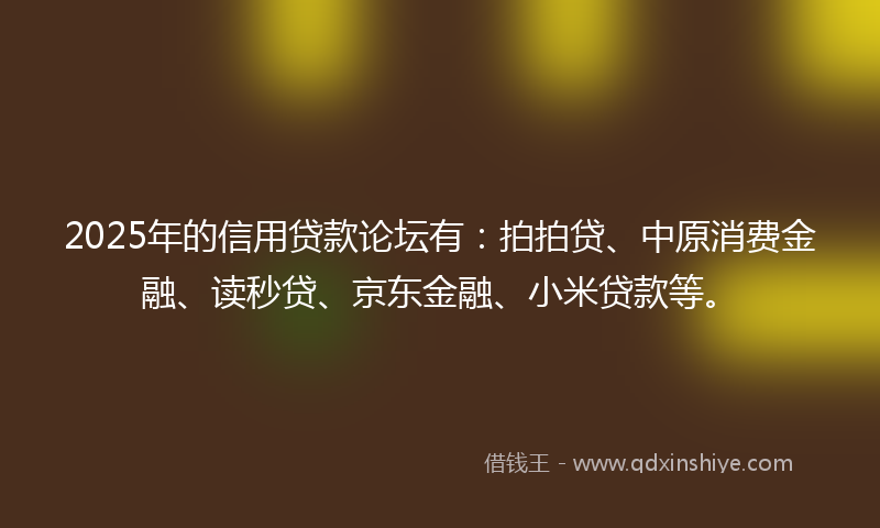 2025年的信用贷款论坛有：拍拍贷、中原消费金融、读秒贷、京东金融、小米贷款等。