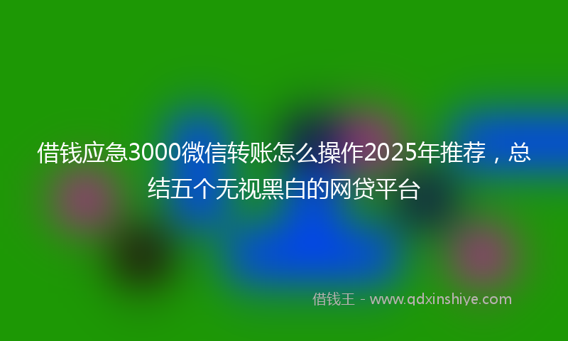 借钱应急3000微信转账怎么操作2025年推荐，总结五个无视黑白的网贷平台