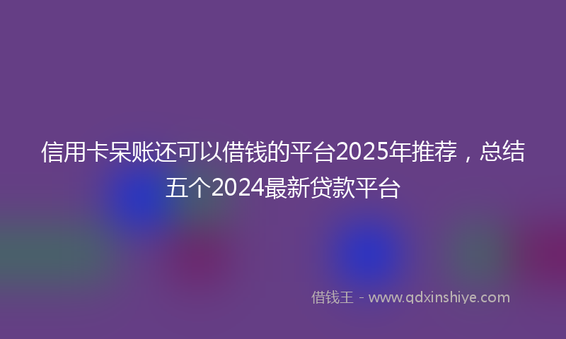 信用卡呆账还可以借钱的平台2025年推荐，总结五个2024最新贷款平台