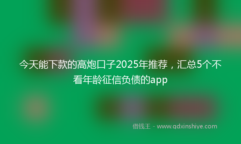 今天能下款的高炮口子2025年推荐，汇总5个不看年龄征信负债的app