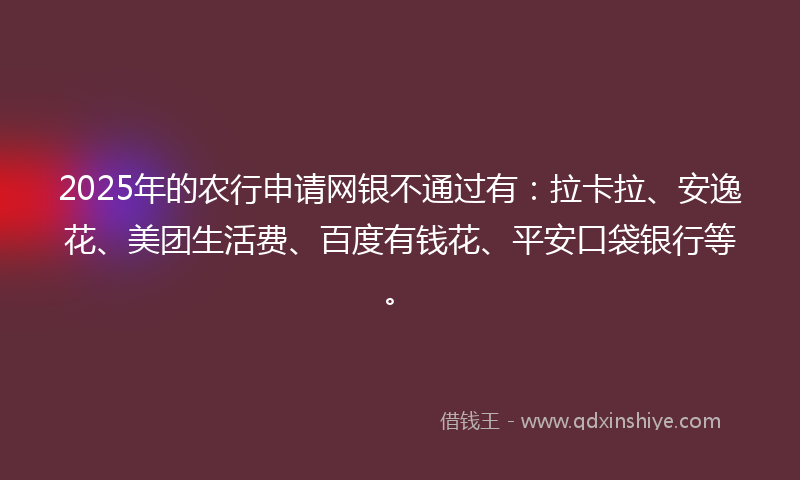 2025年的农行申请网银不通过有：拉卡拉、安逸花、美团生活费、百度有钱花、平安口袋银行等。