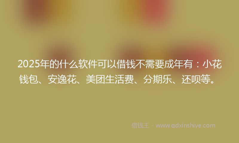 2025年的什么软件可以借钱不需要成年有：小花钱包、安逸花、美团生活费、分期乐、还呗等。