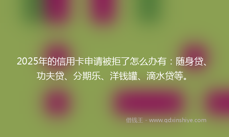 2025年的信用卡申请被拒了怎么办有：随身贷、功夫贷、分期乐、洋钱罐、滴水贷等。