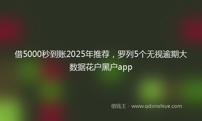 借5000秒到账2025年推荐，罗列5个无视逾期大数据花户黑户app