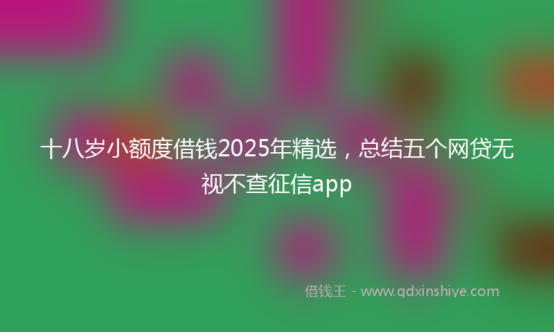 十八岁小额度借钱2025年精选，总结五个网贷无视不查征信app