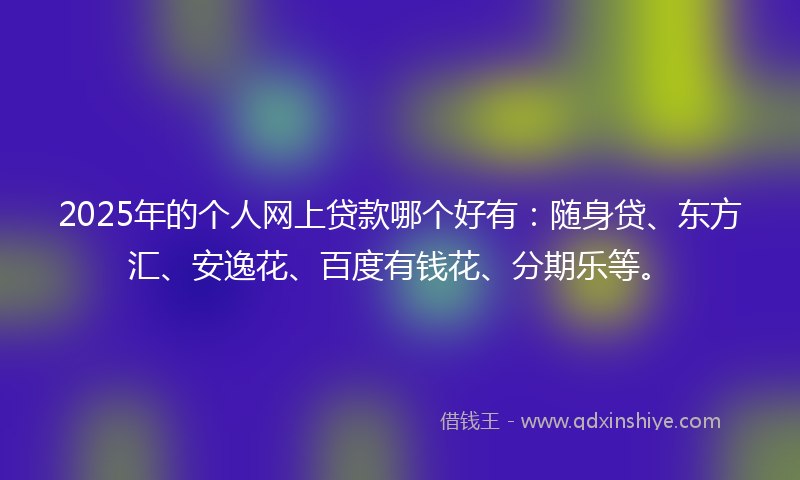 2025年的个人网上贷款哪个好有：随身贷、东方汇、安逸花、百度有钱花、分期乐等。