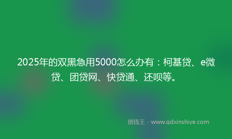 2025年的双黑急用5000怎么办有：柯基贷、e微贷、团贷网、快贷通、还呗等。