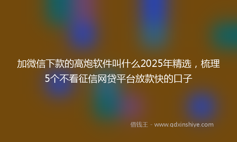 加微信下款的高炮软件叫什么2025年精选，梳理5个不看征信网贷平台放款快的口子