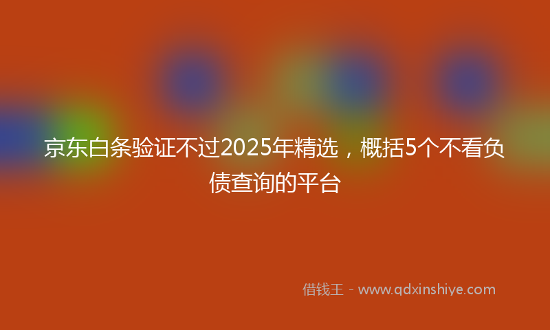 京东白条验证不过2025年精选，概括5个不看负债查询的平台