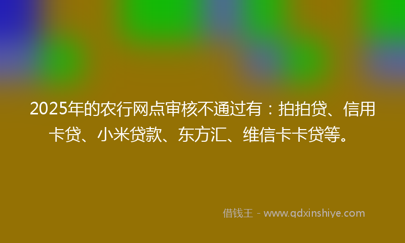 2025年的农行网点审核不通过有：拍拍贷、信用卡贷、小米贷款、东方汇、维信卡卡贷等。