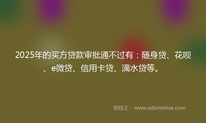 2025年的买方贷款审批通不过有：随身贷、花呗、e微贷、信用卡贷、滴水贷等。