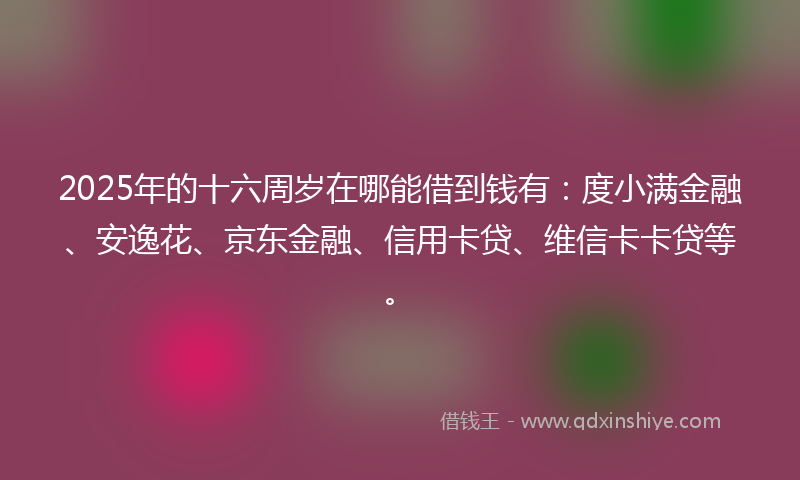 2025年的十六周岁在哪能借到钱有：度小满金融、安逸花、京东金融、信用卡贷、维信卡卡贷等。